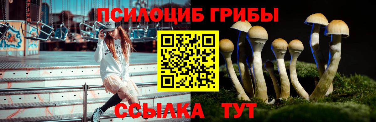 Брянск  как найти   Вход с VPN  Галлюциногенные грибы MAGIC MUSHROOMS 